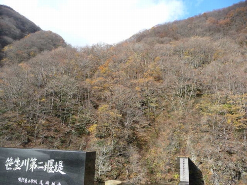 �������񉁒�