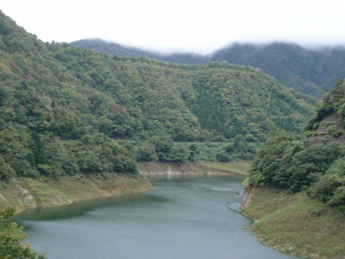 �����r������