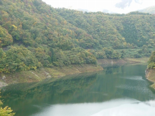 �����r������