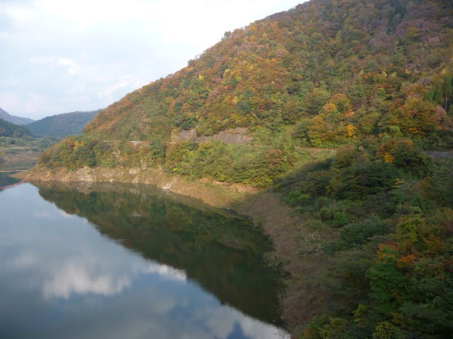 �����r������