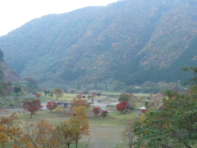 �^����_���㗬��