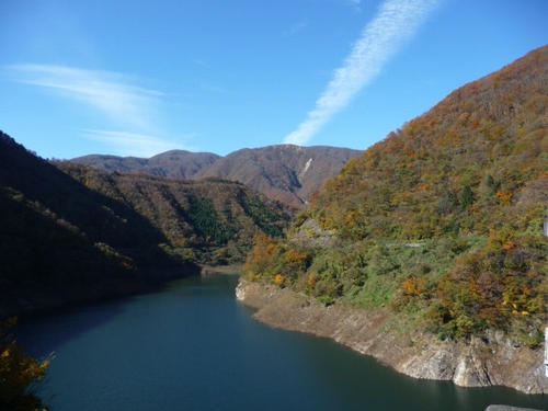 �����r������