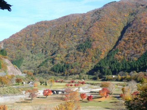 �^����_���㗬��