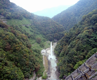 ��� ��������