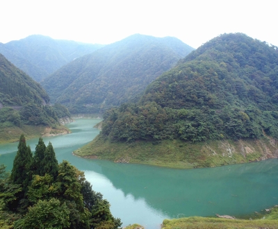 ���� ��������