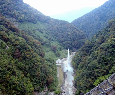 ��� ��������