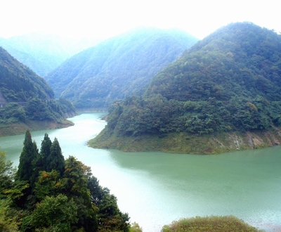 ���� ��������