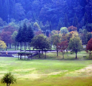 �������� �A�b�v