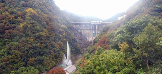 �_���������