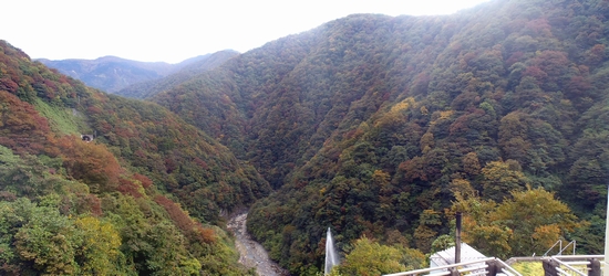 �x������