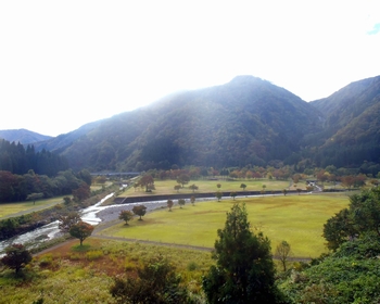 �������� �S�i