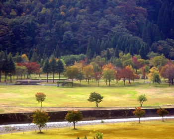 �������� �A�b�v