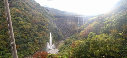 �_���������