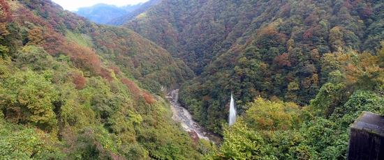 �x������