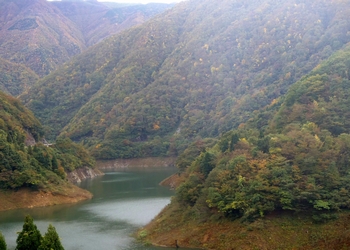 �����r�㗬