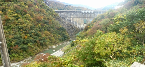 �_������