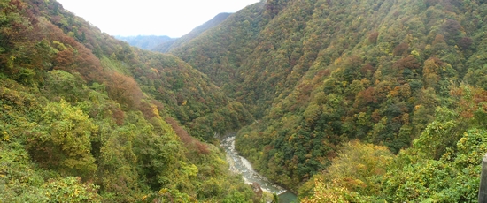 �x������