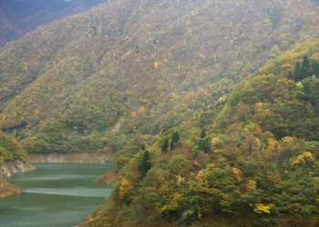 �����r�㗬