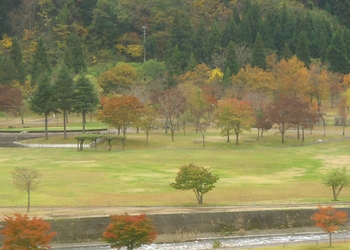 �������� �A�b�v