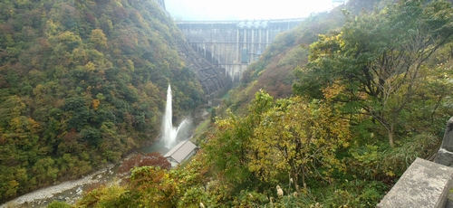 �_������