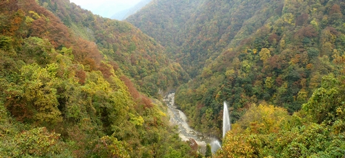 �x������