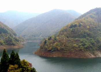 �����r�㗬