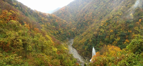 �x������