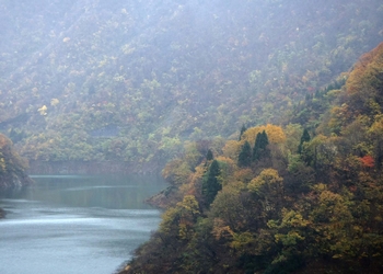 �����r�㗬