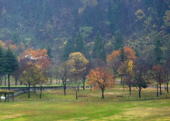 �������� �A�b�v