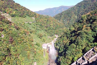 ��� ��������