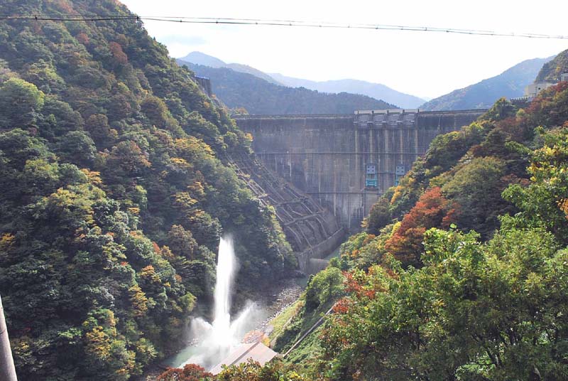 ��� �������