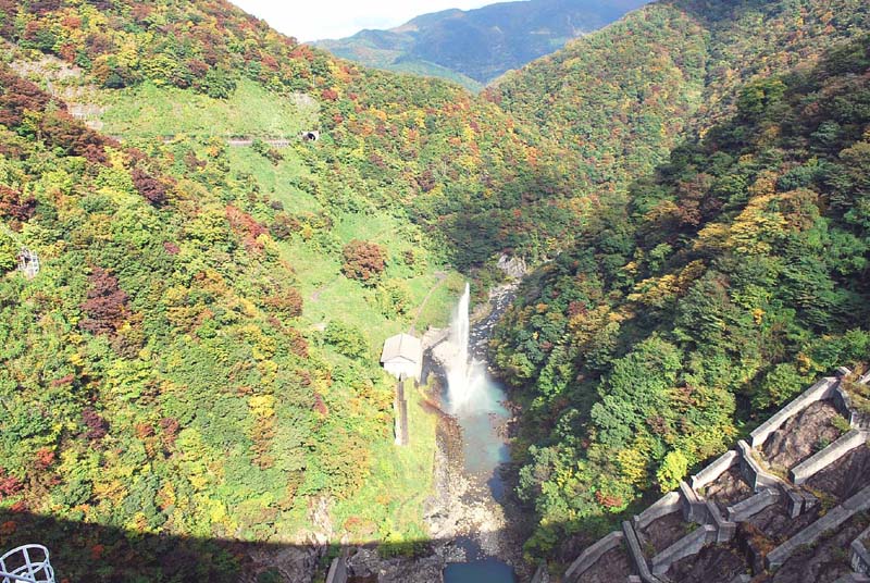 ��� ��������