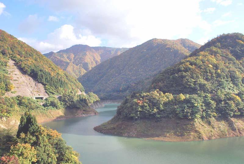 ���� ��������