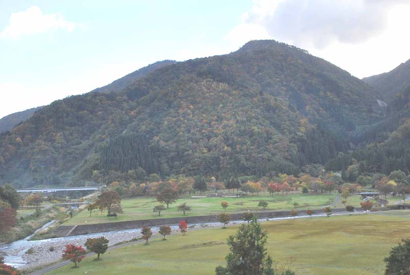 �������� �S�i