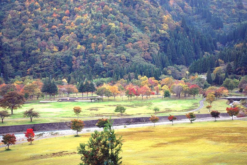 �������� �A�b�v