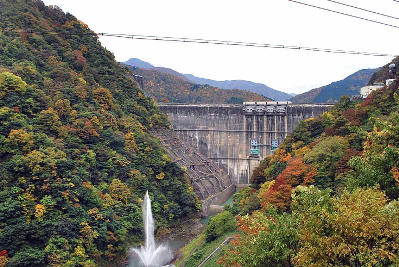 ��� �������