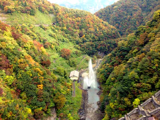 ��� ��������