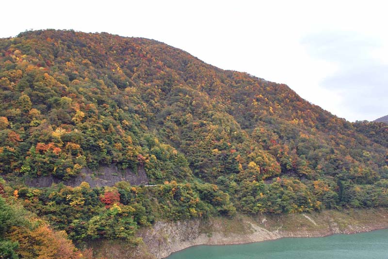 �ᐶ�q�勴��