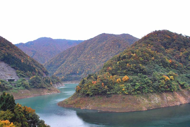 ���� ��������