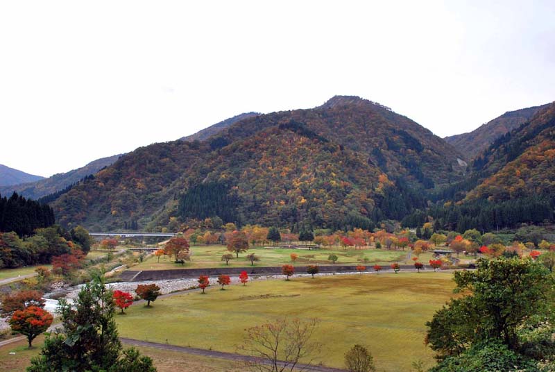 �������� �S�i