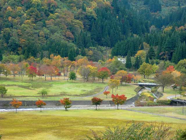 �������� �A�b�v