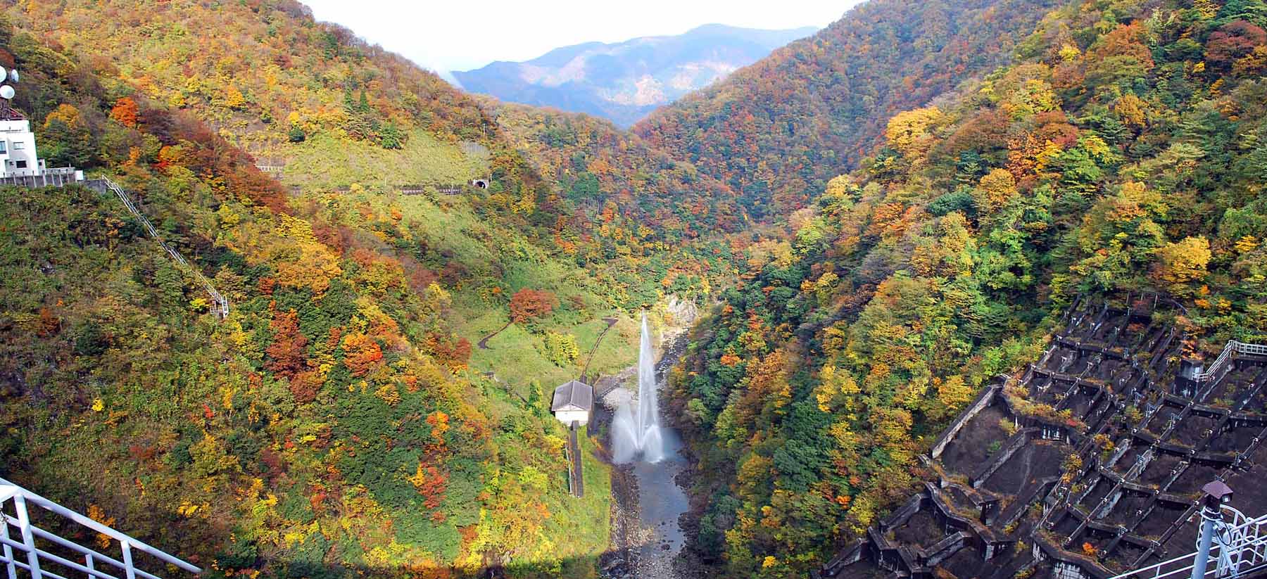 ��� ��������