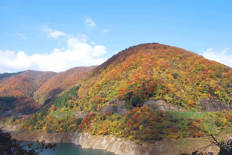 ���� ��������