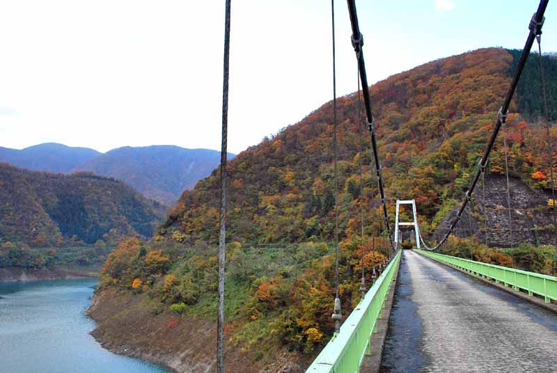 ���� ��������