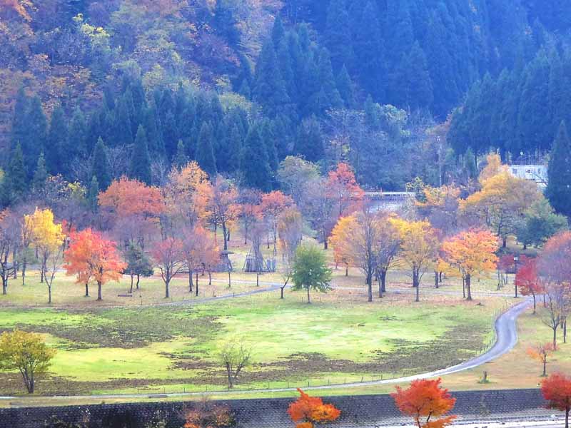 �������� �A�b�v