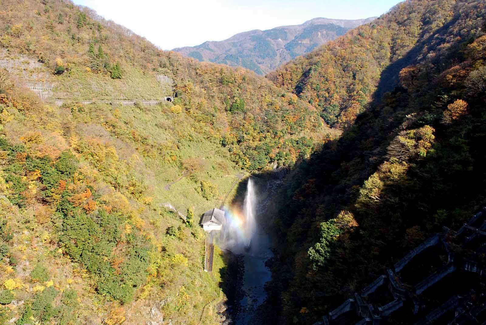 ��� ��������