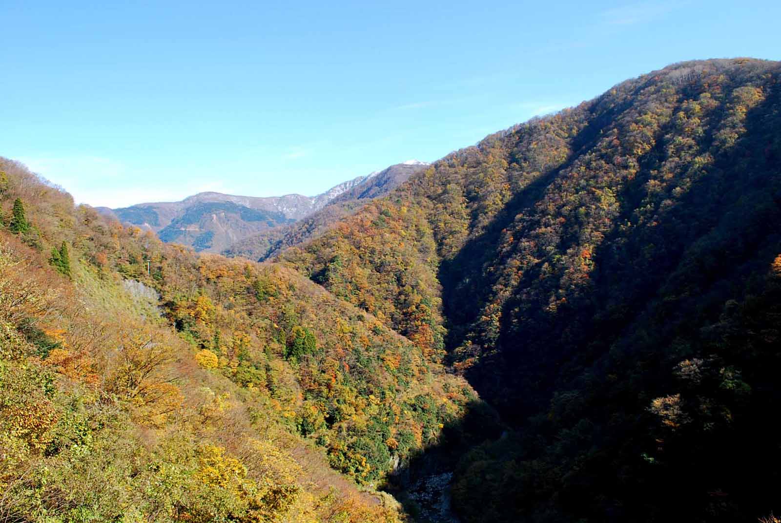 ��� ������