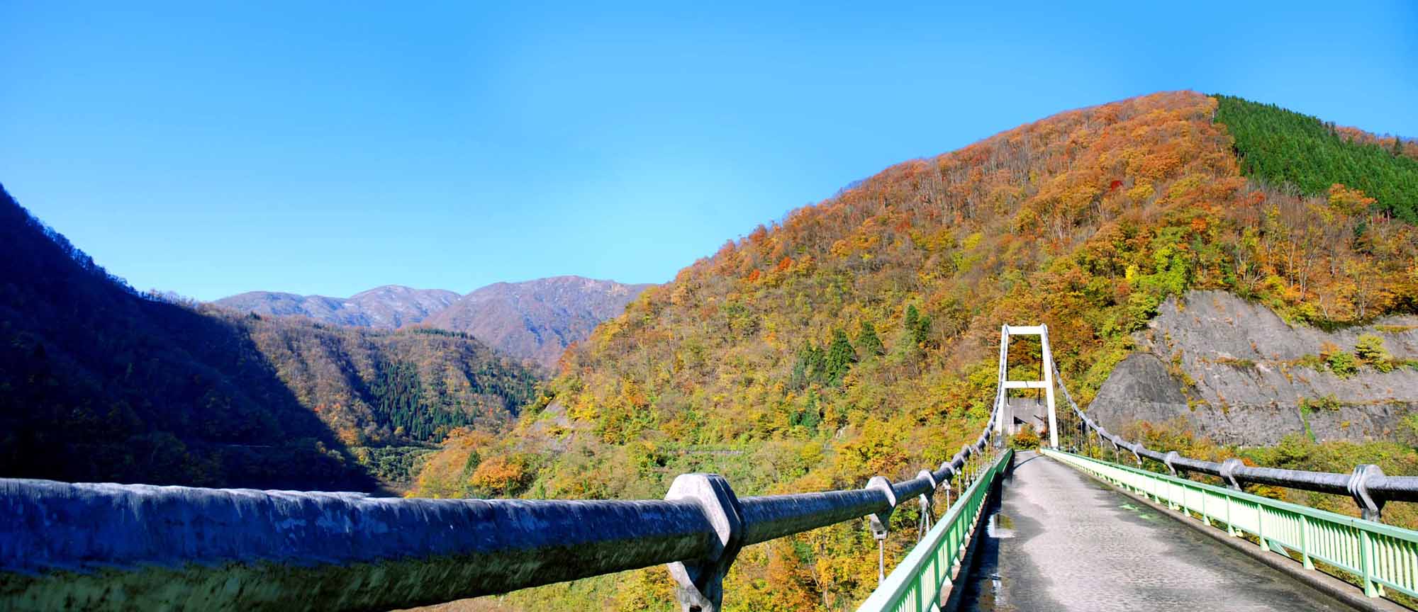 ���� ��������