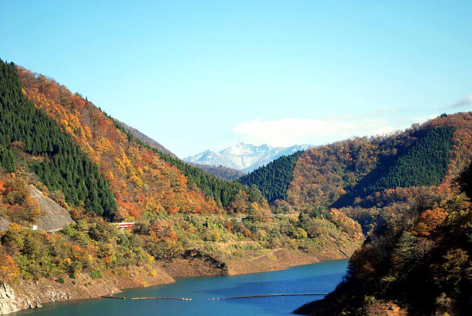 ���� ��������