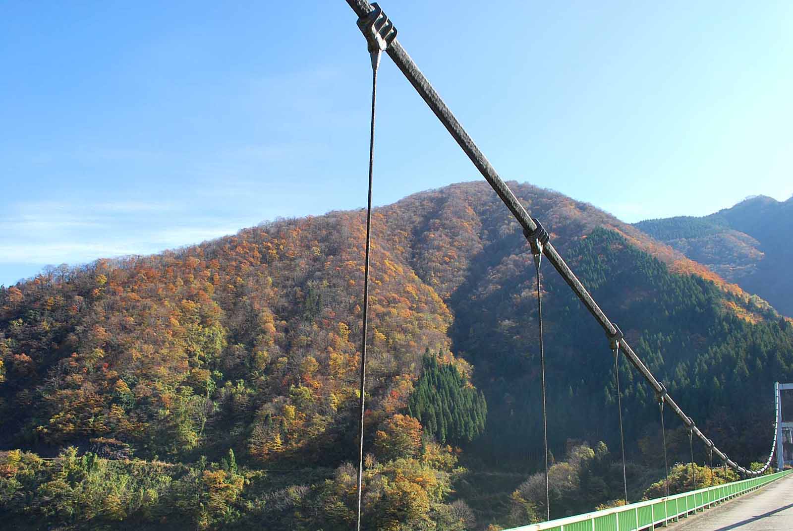 ���� ��������